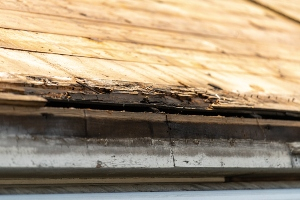 Roof Replacement Services in Upstate New York