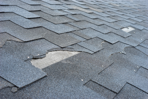 Broken & Missing Shingle Roof Repair in Albany