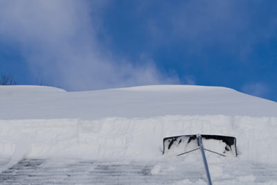 Roof Rake in Schenectady